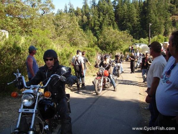 Redwood Run - Old Biker