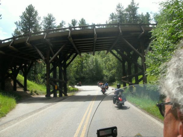 custer state park