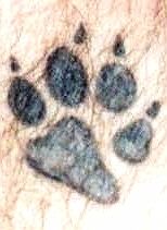 Wolf Paw