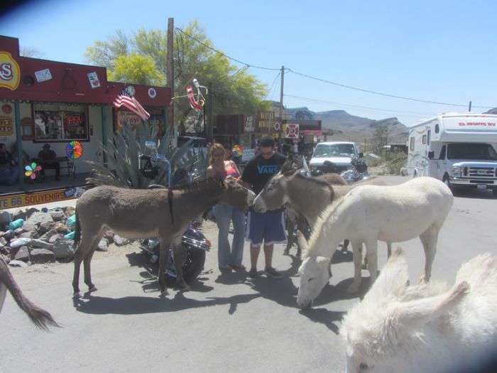 Laura &amp; Riley in Oatman