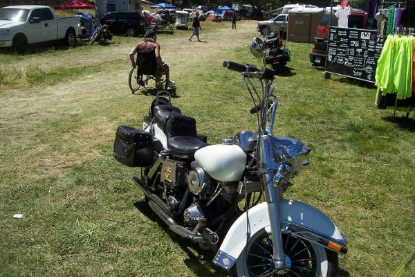 my 82 shovelhead