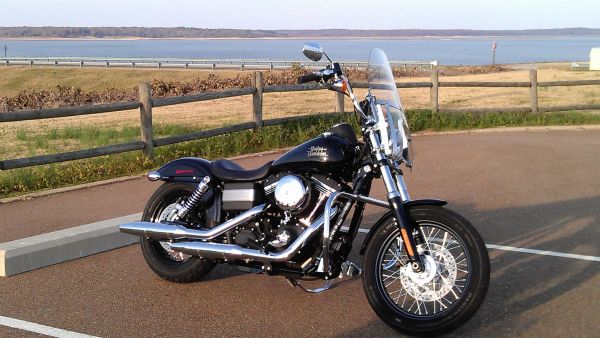 2013 Dan Street Bob