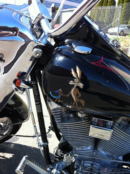 Wile E CoyotE gets his bird