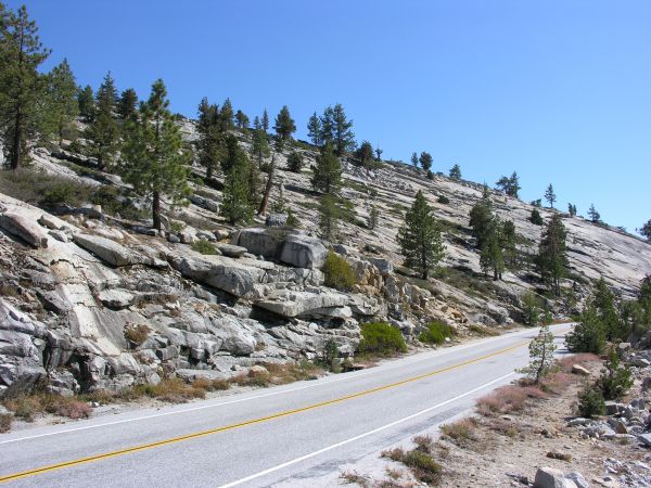 Yosemite Natl Park