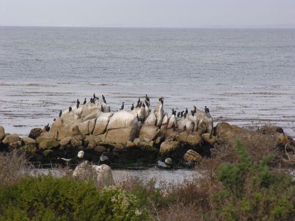 Monteray Bay