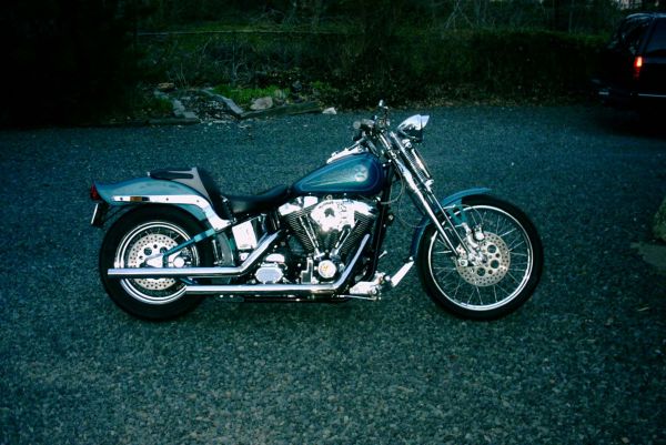 1994 Springer