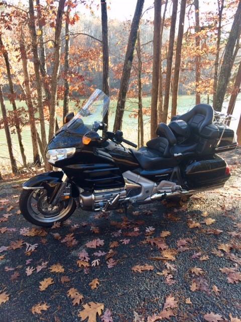 06 Goldwing