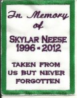 3rd annual Skylar Neese memorial ride