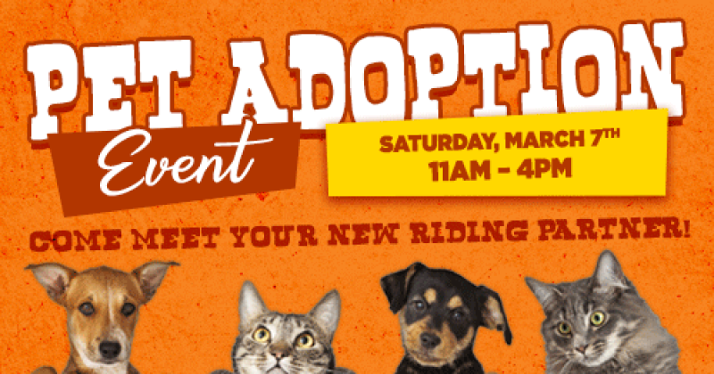 Pet Adoption Day