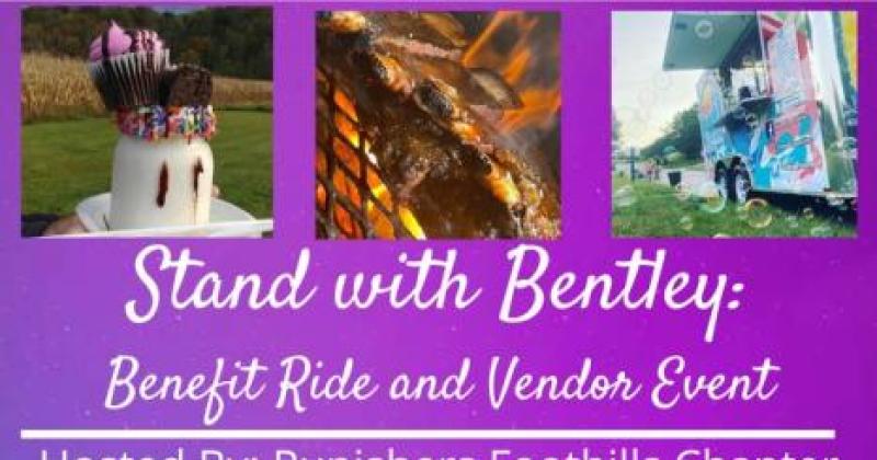 Stand with Bentley Pediatric Stroke Awareness 