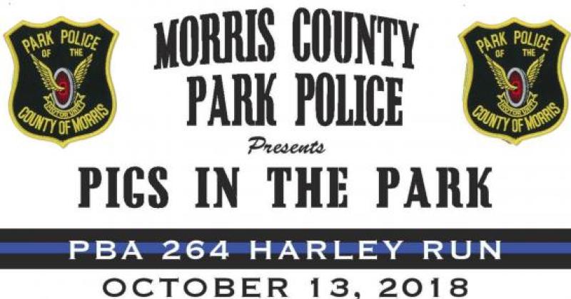 Pigs in the Park