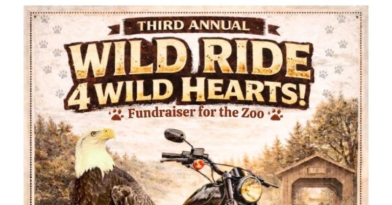 Wild Ride 4 Wild Hearts