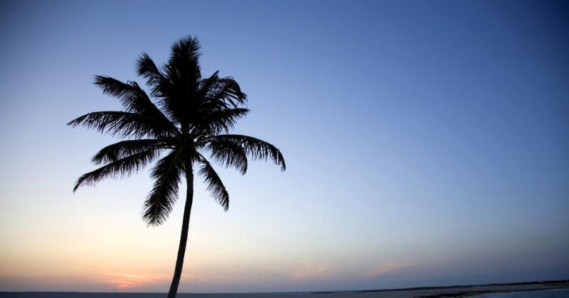 Daytona Beach Party at SteelCity Harley-Davidson