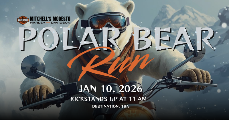 Polar Bear Run