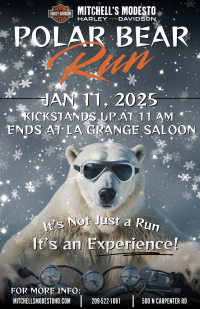 Polar Bear Run