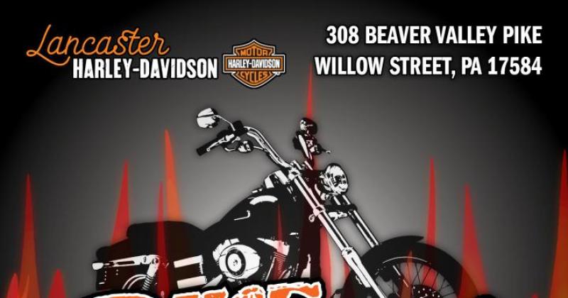 Bike Night!
