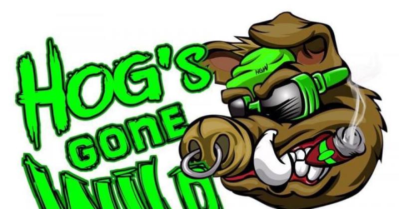 Hogs Gone Wild Harley-Davidson Bagger Event